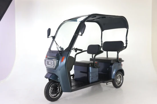 Vélo électrique de cargaison motorisé par tricycle à trois roues électrique pour adultes