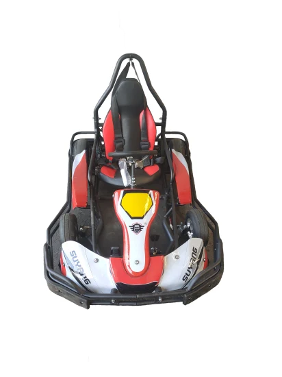 Suyang New Design Pedal Go Karting Family Go Karts avec 2 Seat Hot Sale