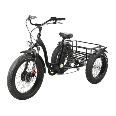 Loisirs Zappy 4 roues électrique fabricant de tricycle utilisé passagers enfants