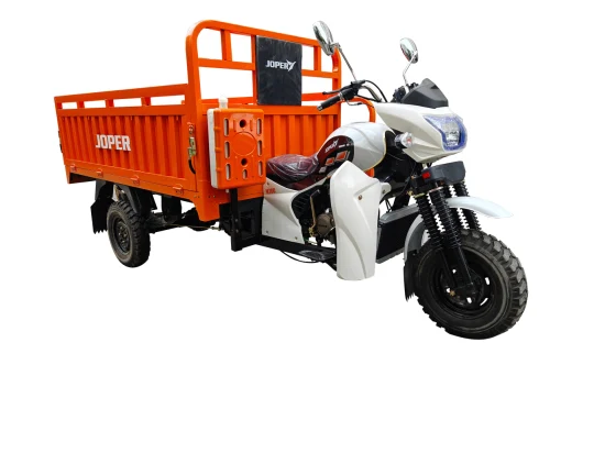 Tricycle de cargaison de moteur refroidi à l'eau monocylindre de 200 cc/moto à trois roues