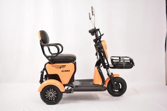 Nouveau tricycle électrique populaire de haute qualité 48V 350W