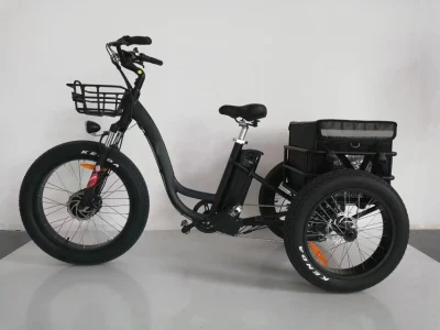L'usine fournit un vélo électrique à trois roues 500W, adulte Shimano 7 vitesses, tricycle électrique à gros pneus